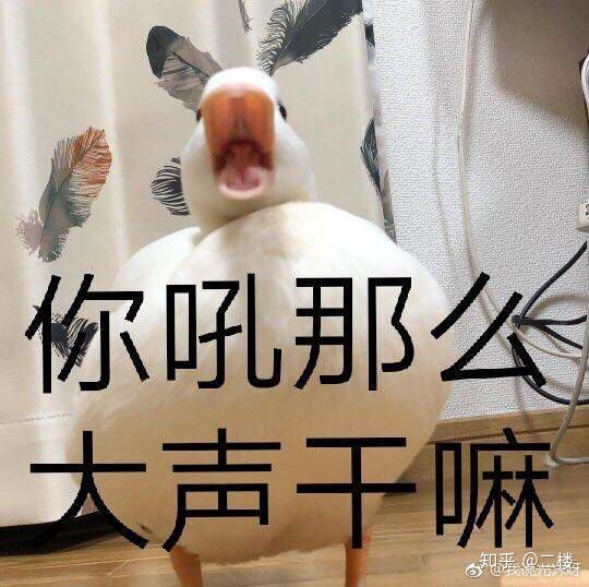 有没有怼男朋友的表情包