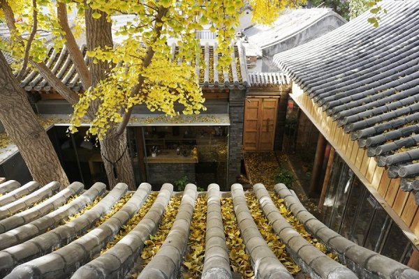 你见过的最舒适的办公环境是什么?