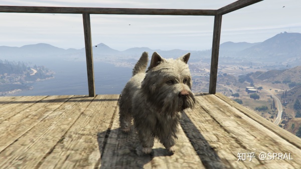 gta5里有哪些看似平凡实则惊人的小细节