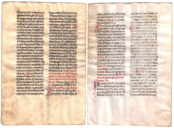 中世纪用羊皮纸抄本圣经要用多少只羊