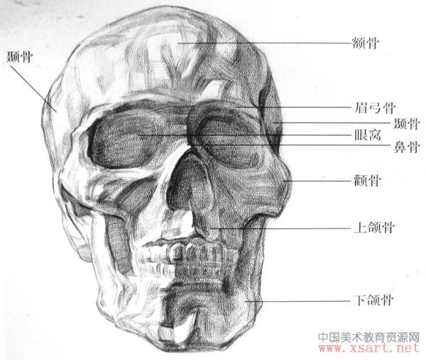 绘画素描速写中如何解决形不准的问题