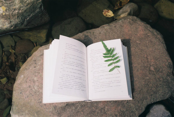 有一次,在朋友圈看到台湾作家张晓风一篇文章,她先分享了一则故事