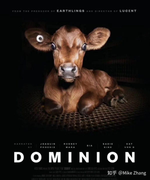 长期坚持下来学英语对自己有哪些成长