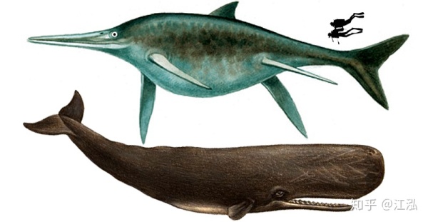 在恐龙刚出现的时代地球上最大的动物是什么