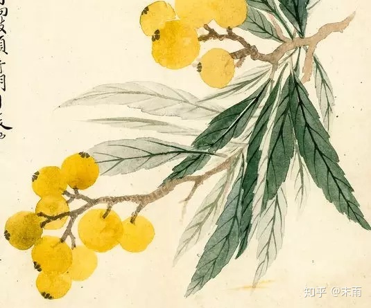 69 期权论坛 69 爱问  七  "庭有枇杷树,吾妻死之年所手植也,今已