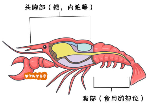 小龙虾是否卫生? 