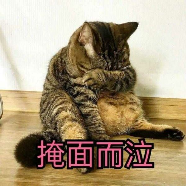 你的标化成绩和课外活动如何?