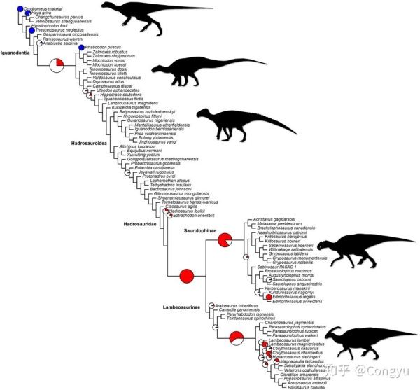 恐龙进化过程图简笔画图片