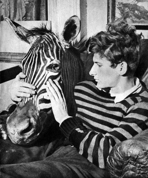 哪些历史上的名人不仅成就斐然而且相貌俊美? - 期权论坛