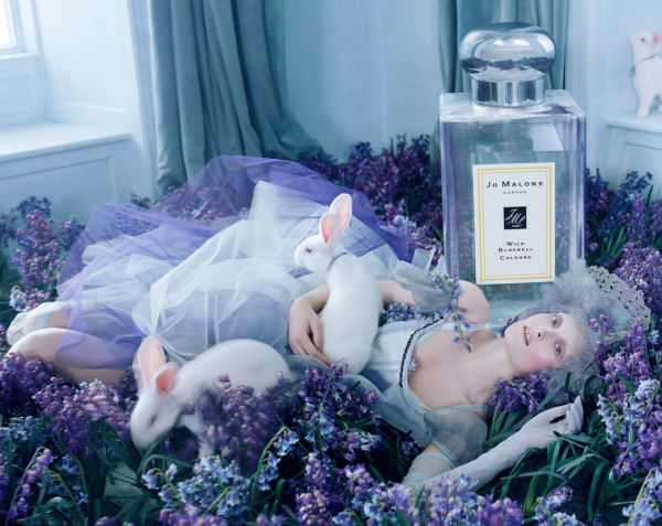 祖马龙 蓝色风铃草 jo malone wild bluebell, 2011