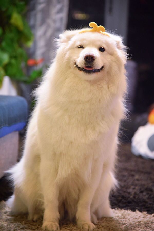 笑容治愈是怎样的一种体验