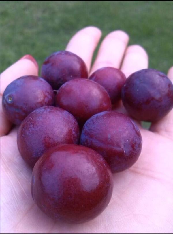 在江西师范大学就读是一种怎样的体验