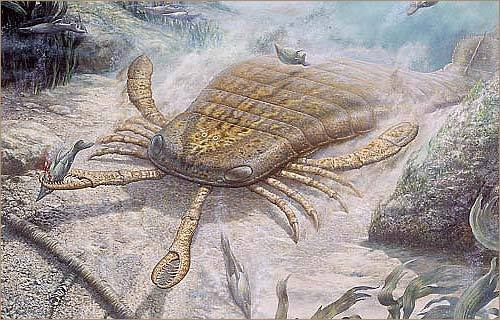 世界上存在过哪些奇特的古生物