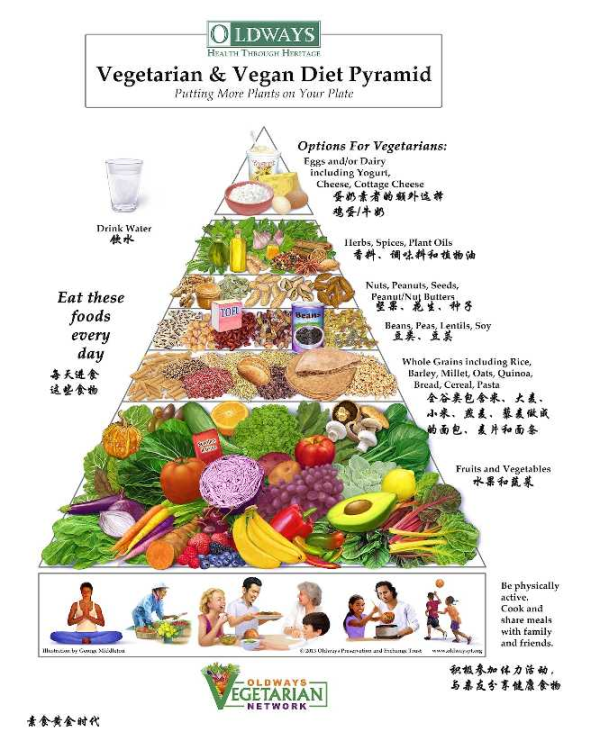 纯素食者怎样管理自己的饮食