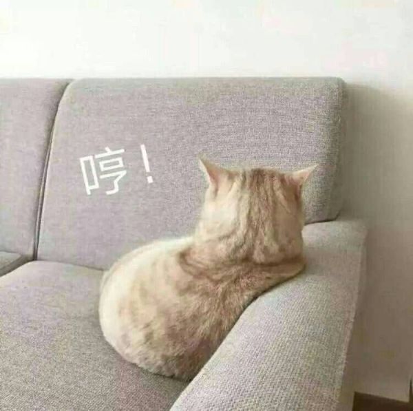有什么适用于和老公/男票撒娇的可爱表情包?