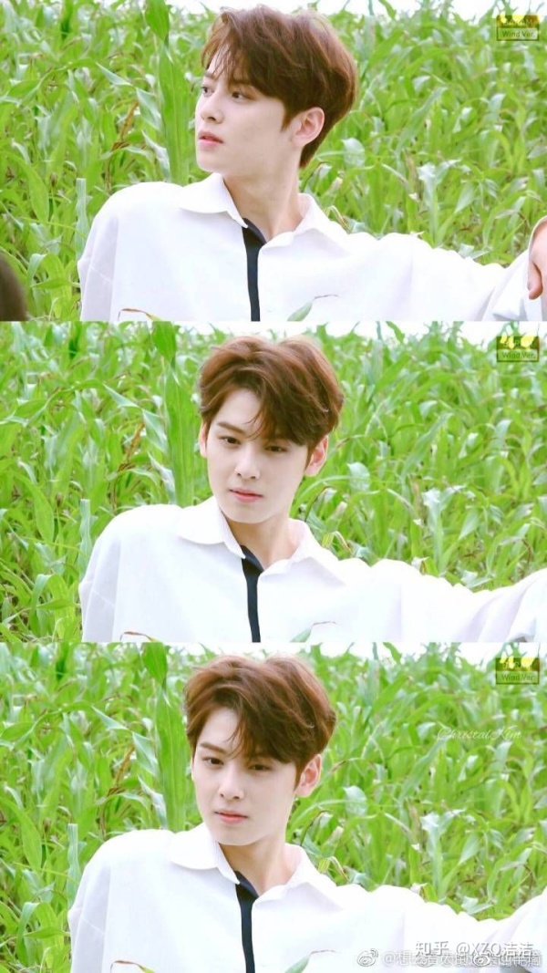 因为什么喜欢车银优