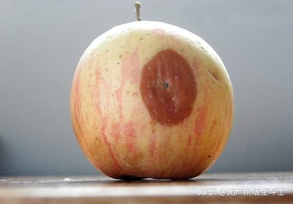 有哪些农业上的事实没有一定农学知识的人不会相信