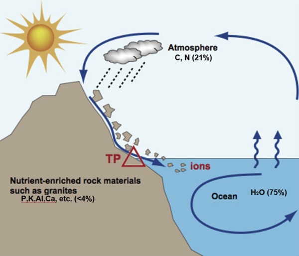 如果地球没有陆地,海洋生物可能掌握科技吗?