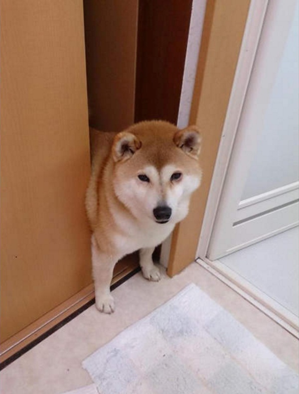 你有什么搞笑的照片或截图