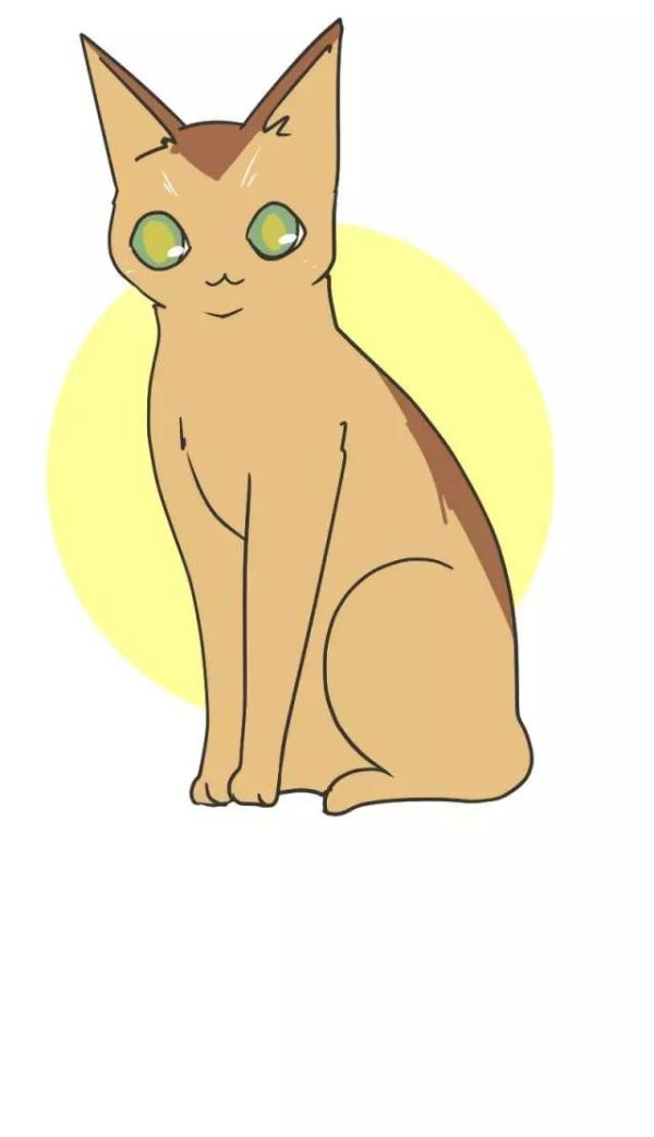 虽然阿比西尼亚猫看着聪明高贵能协助人类(指不搞破坏.