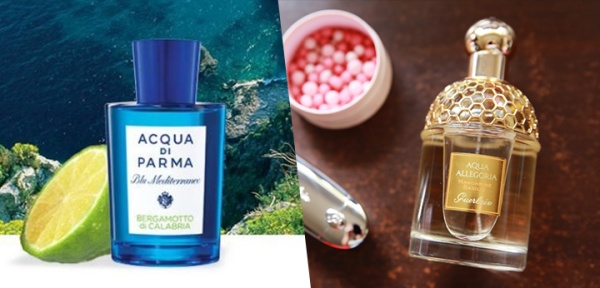 帕尔玛之水 佛手柑 acqua di parma bergamotto di calabria