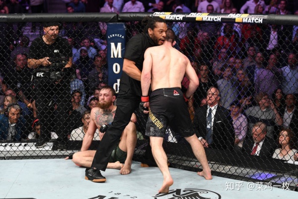 如何评价ufc229,嘴炮康纳vs小鹰哈比布的比赛?
